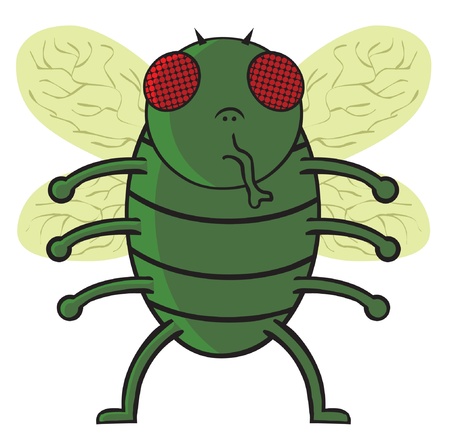 green flyのイラスト素材