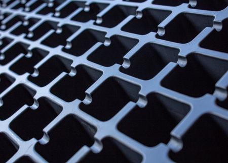 Cells of plastic purveyance in the production of cassette for the sprouts of plants