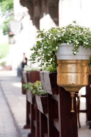 Flowerpot with lilac flowers in outdoor cafeの写真素材