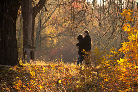 two people under yellow leaves on the roadの写真素材