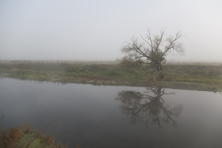 The river covered with fog in the morningの写真素材