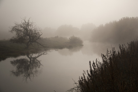 The river covered with fog in the morningの写真素材