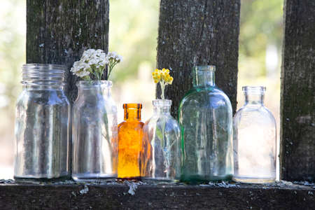 Old empty bottles on fence. Bottles with dry field flowersの写真素材