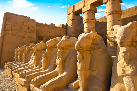 Avenue of Sphinxes in Karnak templeの写真素材