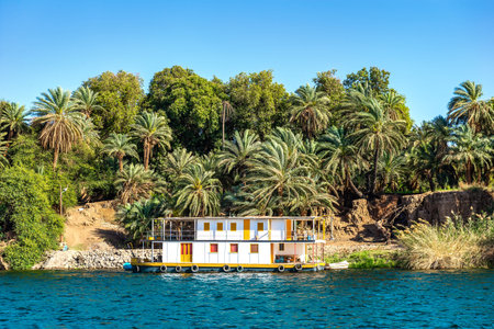 Coastline of river Nile