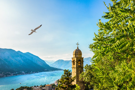 Dusk over Kotor Bay