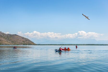 Kayaking on Scadar Lake at summer day in Montenegroの写真素材