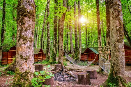 Sunrise in camping of Biogradska Gora National Park, Montenegroの写真素材