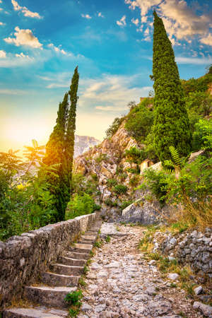 Road in Kotor fortressの写真素材