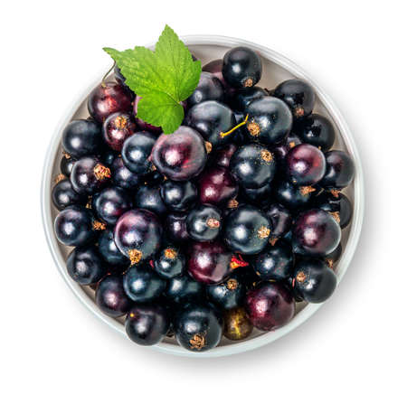 Bowl of black currantの写真素材