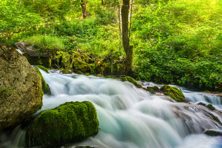 Fast river flowing in the forest of Montenegroの写真素材
