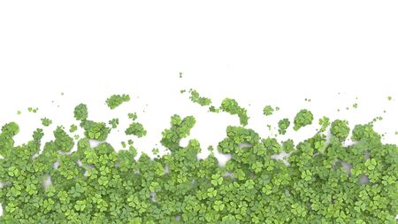 Green clover covering the screen on white background. 3D rendering.の写真素材