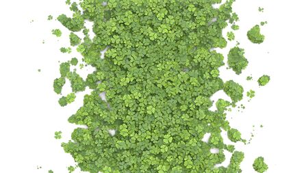 Green clover covering the screen on white background. 3D rendering.の写真素材