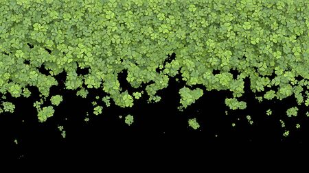 Green clover covering the screen on black background. 3D rendering.の写真素材