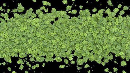 Green clover covering the screen on black background. 3D rendering.の写真素材