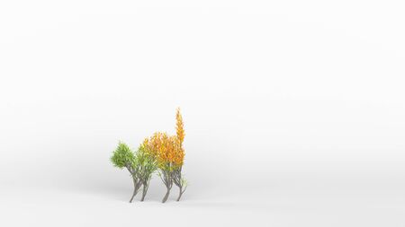 Growing Tree in a shape of a cat. Eco Concept. 3D rendering.の写真素材