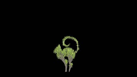 Growing Tree in a shape of a cat. Eco Concept. 3D rendering.の写真素材