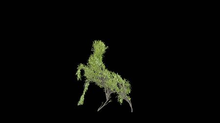 Growing Tree in a shape of Horse. Eco Concept. 3D renderingの写真素材