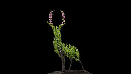 Tree in a shape of a deer. Seasonal transition on black background. Eco Concept. 3D rendering.の写真素材