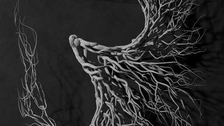 Tree concept. Black and white background. 3D rendering.の写真素材
