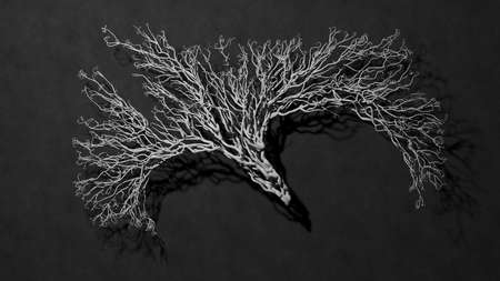 Tree concept. Black and white background. 3D rendering.の写真素材
