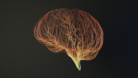 Human brain made out of lines. Brain medical Concept. 3D Rendering.の写真素材