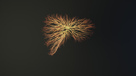 Human liver made out of lines. Medical Concept. 3D Rendering.の写真素材