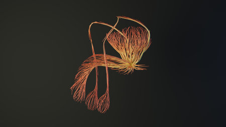 Human Testicles made out of lines. Reproductive Male System. Medical Concept. 3D Rendering.の写真素材