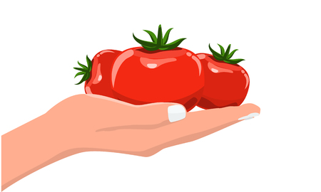 Hand holding fresh and organic vegetable tomato. Flat and solid color vector illustration.のイラスト素材