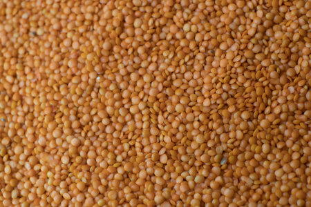 Red or orange lentils background. Group of lentils.