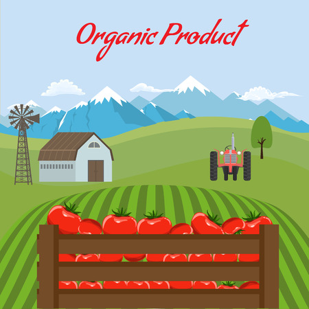 Tomato mockup in farm landscape background. Label design for tomato products. Flat and solid color style vector illustration.のイラスト素材