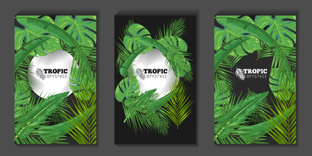 Tropical leaves and circle copyspace background for banner or posters. Summer concept Social media cover or story template. Flat color Vector illustration.のイラスト素材