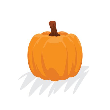 Orange pumpkin with cartoon style. Autumn halloween pumpkin, vegetable graphic icon. Vector illustration.のイラスト素材