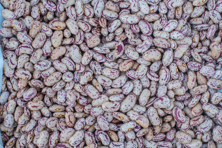 Group of Crimson cranberry beans or sugar beans at market. Top view