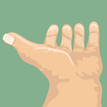 Opened male hand from back view. Cartoon style. Flat and solid color vector illustration.のイラスト素材