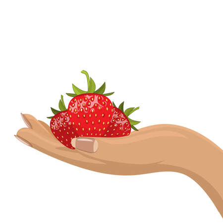 Hands holding red ripe strawberries. Flat and solid color vector illustration.のイラスト素材