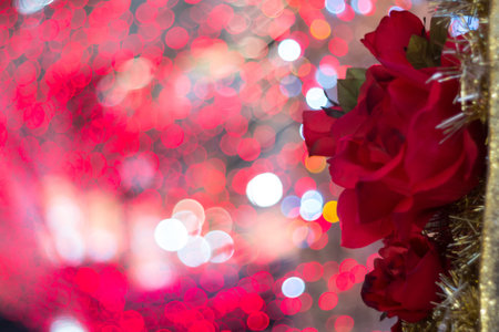 Flower red rose on bubble with blur bokeh red backgroundの写真素材