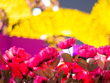 Pink Flowers with bokeh backgroundの写真素材