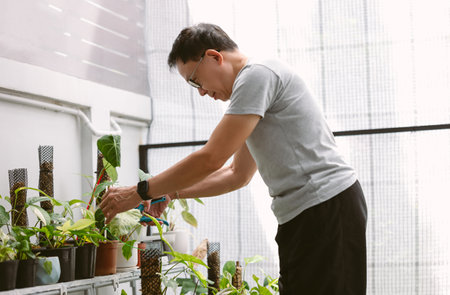 Smiling owner Asian middle age man taking care of his plants in green house. Plant care, growing houseplants for sale. Startup small business owner and service mind concept.の写真素材
