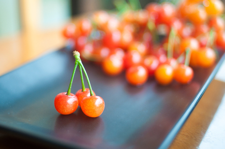Cherryの写真素材