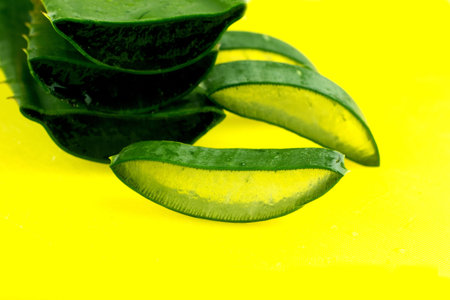 aloe veraの写真素材