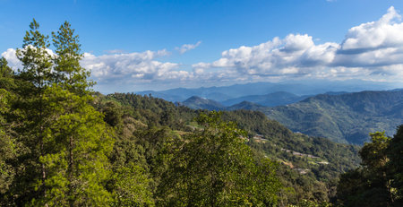 blue sky and clouds over jungle in Malaysia