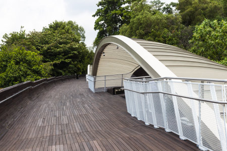 modern wooden bridge over the jungle. singaporeのeditorial素材