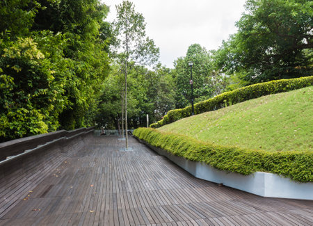 modern wooden bridge over the jungle park. singaporeのeditorial素材