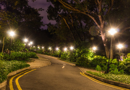 decorative night lighting the road in the Botanic Garden of Singaporeのeditorial素材