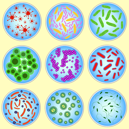 stylized image of colored bacteria in a petri dishのイラスト素材