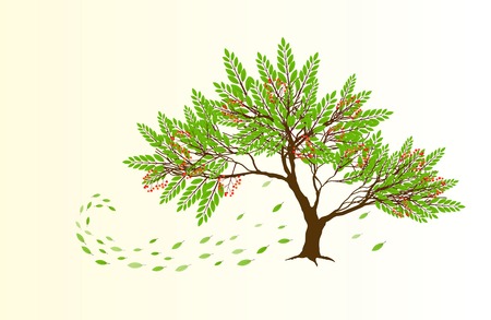 Spring abstract tree with red berries and green falling leavesのイラスト素材