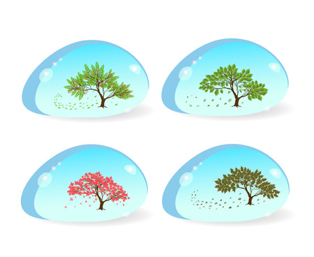 a set of small trees in a drop of water on whiteのイラスト素材