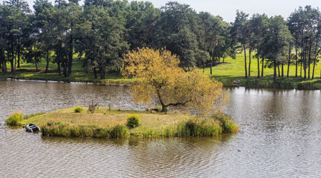 lonely tree on an island in the lake. Belarus.の写真素材