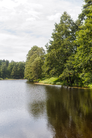 a forest lake surrounded by trees. sunny summer day, Belarusの写真素材